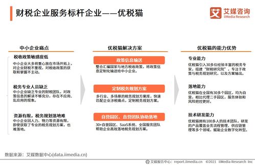 2021上半年中國財稅企業(yè)服務市場洞察 數(shù)字化驅動下的信息咨詢服務新格局